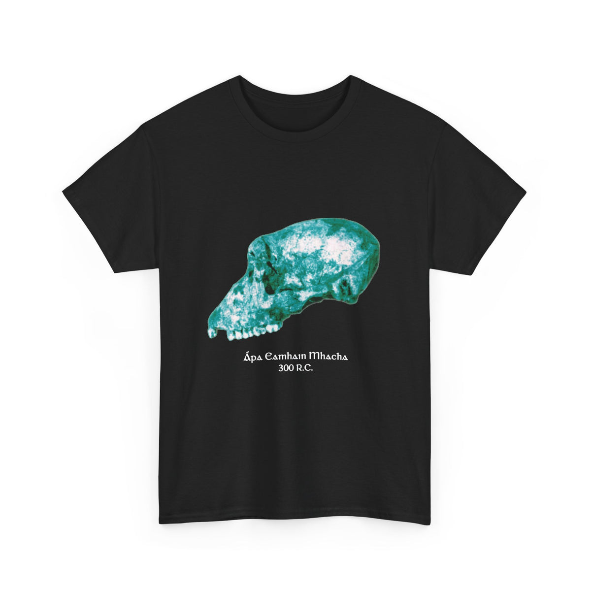 Ápa Eamhain Mhacha le téacs